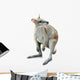 Kangaroo