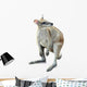 Kangaroo