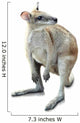 Kangaroo