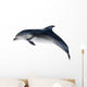 grey dolphin on white illustration Wall Decal