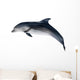 grey dolphin on white illustration Wall Decal