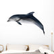 grey dolphin on white illustration Wall Decal