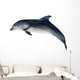 grey dolphin on white illustration Wall Decal