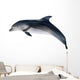 grey dolphin on white illustration Wall Decal