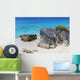 Bermuda Coastline Wall Mural