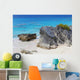 Bermuda Coastline Wall Mural