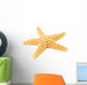 Sea-star Starfish Wall Decal