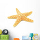 Sea-star Starfish Wall Decal