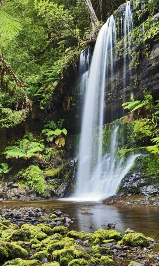 Falls Russel Tasmania Vertical