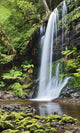 Falls Russel Tasmania Vertical