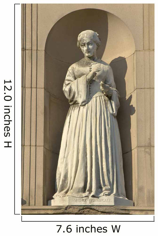 Florence Nightingale Wall Mural
