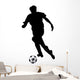 Fussball 13