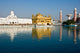 Golden Temple Wall Mural