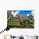 Mossy Tikal Mayan Ruins Guatemala Wall Decal