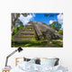 Mossy Tikal Mayan Ruins Guatemala Wall Decal
