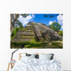 Mossy Tikal Mayan Ruins Guatemala Wall Decal
