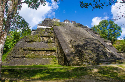 Mossy Tikal Mayan Ruins Guatemala Wall Decal