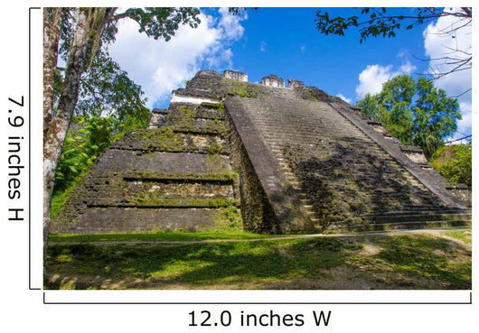 Mossy Tikal Mayan Ruins Guatemala Wall Decal