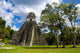 Tikal Ruins Guatemala Wall Mural