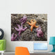 Starfish One Is Not Wall Mural