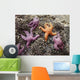 Starfish One Is Not Wall Mural