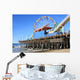 Santa Monica Pier Wall Mural