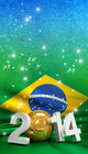 Brazil 2014