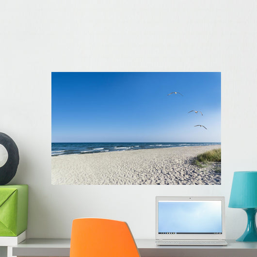 Seagulls on the beach Wall Mural