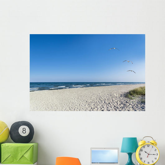 Seagulls on the beach Wall Mural