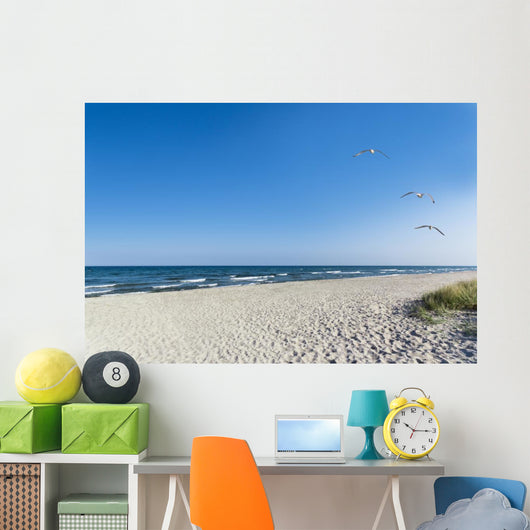 Seagulls on the beach Wall Mural