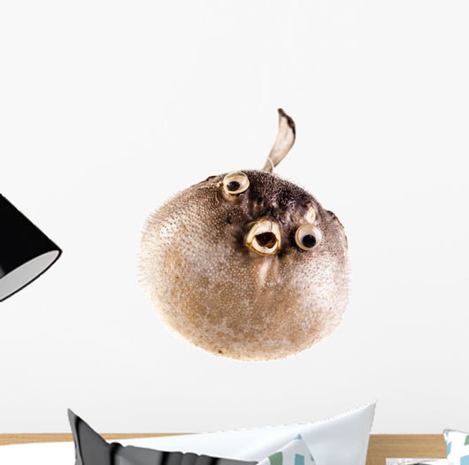 Puffer Fish Wall Decal