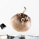 Puffer Fish Wall Decal