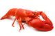 Red Lobster Wall Decal