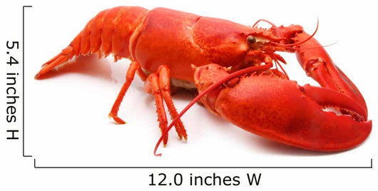 Red Lobster Wall Decal