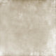 Abstract or Texture