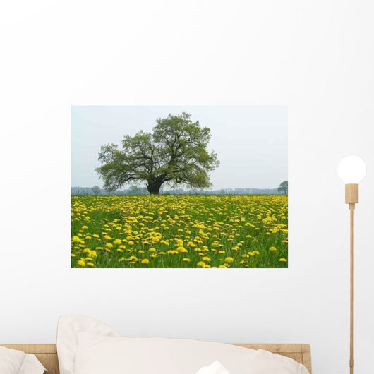 Dandelion Meadow Wall Decal