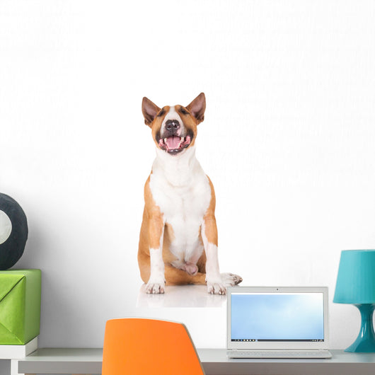 Happy English Bull Terrier Dog Wall Decal