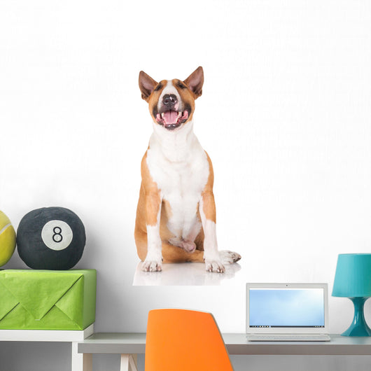 Happy English Bull Terrier Dog Wall Decal