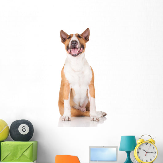 Happy English Bull Terrier Dog Wall Decal