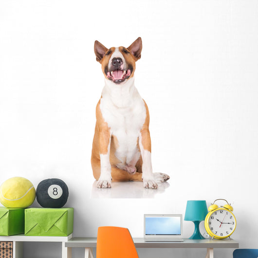 Happy English Bull Terrier Dog Wall Decal