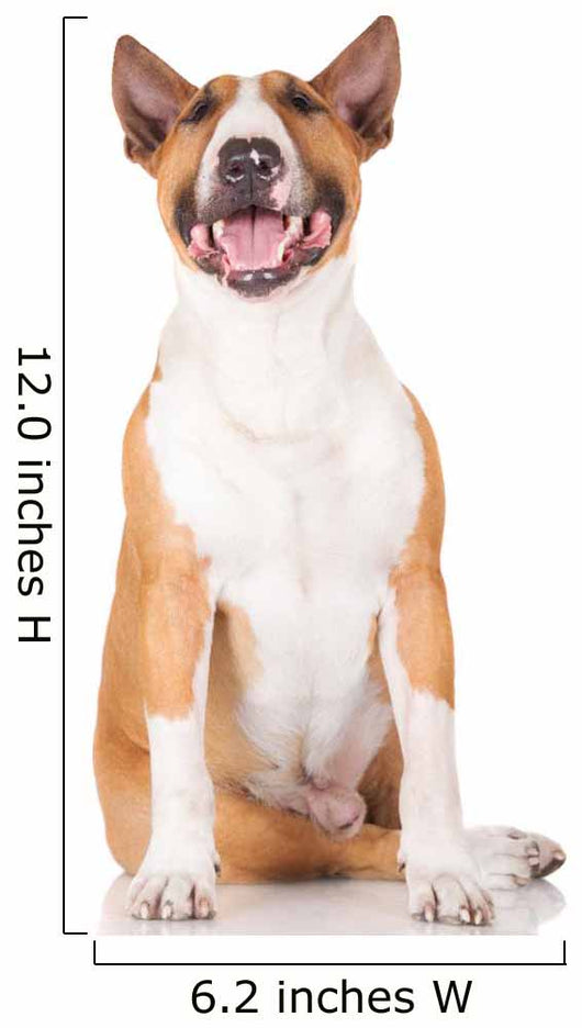 Happy English Bull Terrier Dog Wall Decal