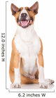 Happy English Bull Terrier Dog Wall Decal