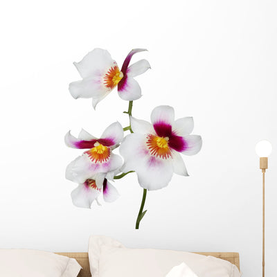 Four White Orchid Flowers Wall Decal shown on a wall