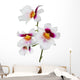 four white orchid flowers with pink and yellow center Wall Decal
