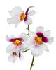 four white orchid flowers with pink and yellow center Wall Decal