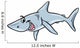 Shark Animal Cartoon Illustration