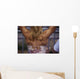 Muscles Wall Mural