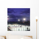 ice hockey Wall Mural