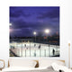 ice hockey Wall Mural