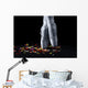 Ballet Dancer Standing Toes Wall Decal